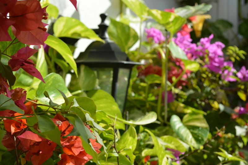 Hotel Casa Mary Cartagena  Exterior foto
